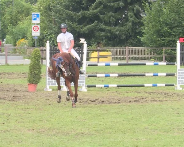 Reitturnier Langenthal 2019