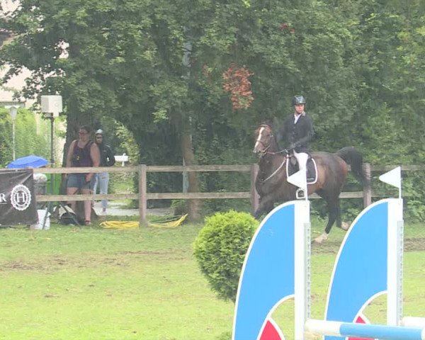 Reitturnier Langenthal 2019