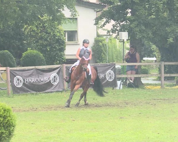 Reitturnier Langenthal 2019