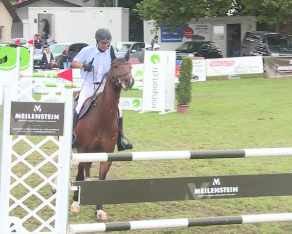 Reitturnier Langenthal 2019