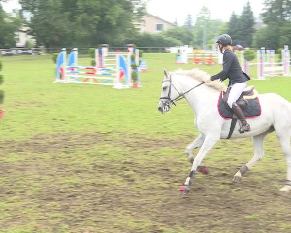 Reitturnier Langenthal 2019