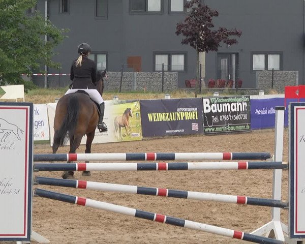Reitturnier Jagstzell 2019