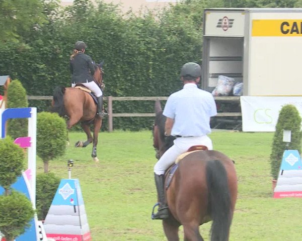 Reitturnier Langenthal 2019