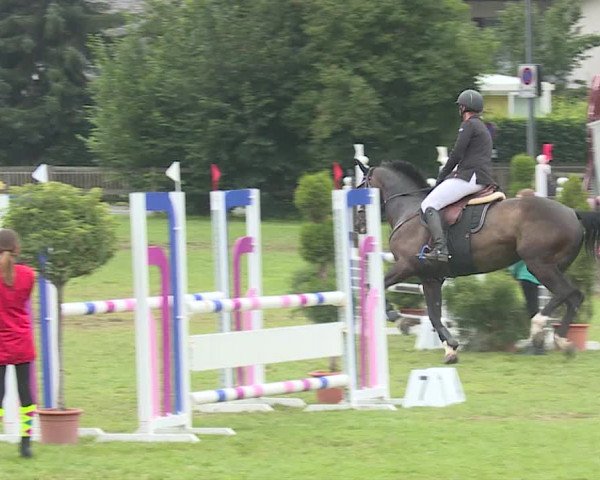 Reitturnier Langenthal 2019