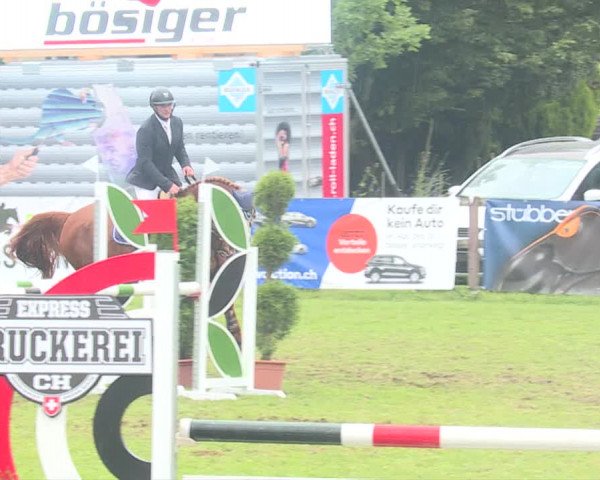 Reitturnier Langenthal 2019
