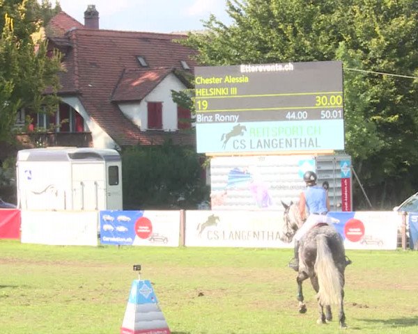 Reitturnier Langenthal 2019