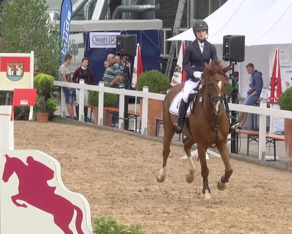 Reitturnier Jagstzell 2019