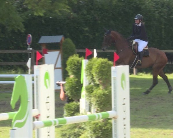 Reitturnier Langenthal 2019