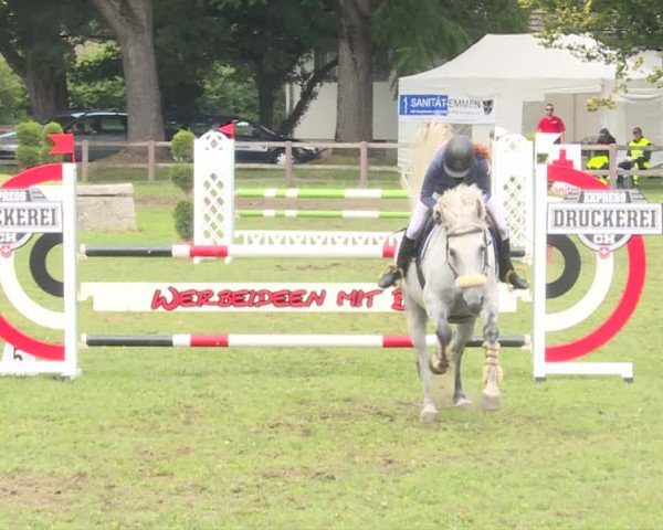 Reitturnier Langenthal 2019