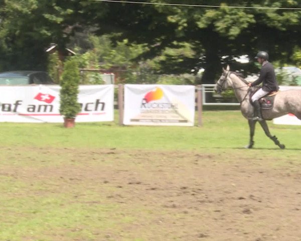 Reitturnier Langenthal 2019