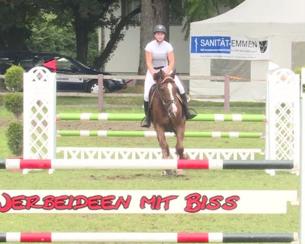 Reitturnier Langenthal 2019