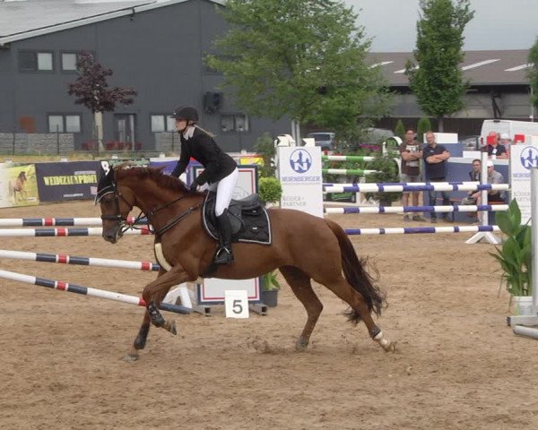 Reitturnier Jagstzell 2019