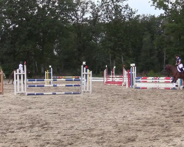 Reitturnier Olfen-Vinnum 2019
