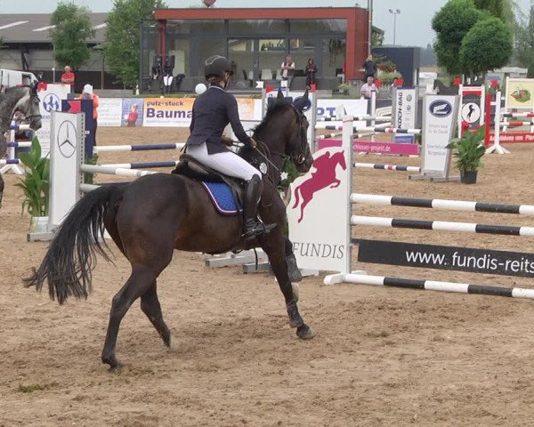 Reitturnier Jagstzell 2019