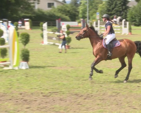 Reitturnier Langenthal 2019