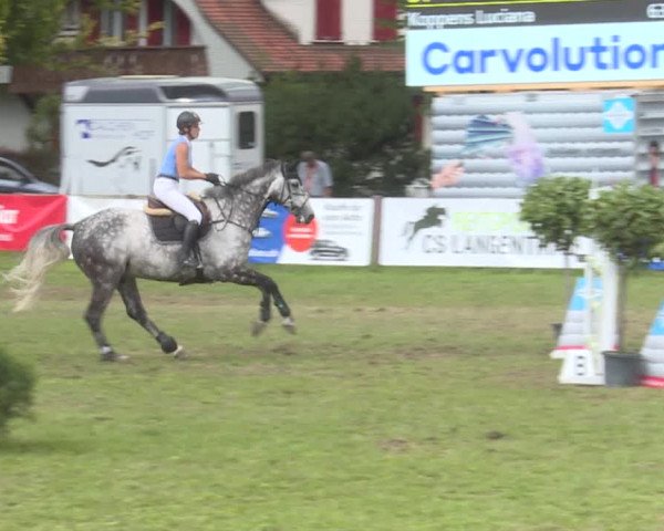 Reitturnier Langenthal 2019