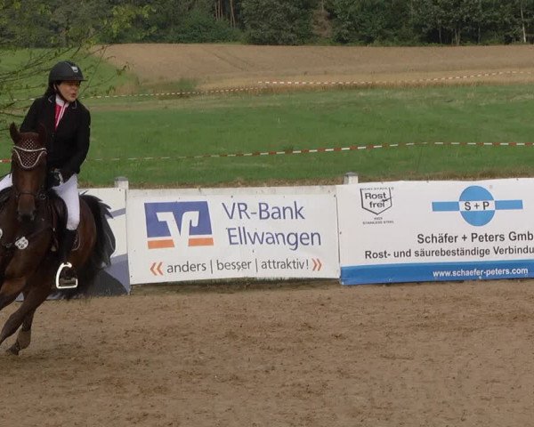 Reitturnier Jagstzell 2019