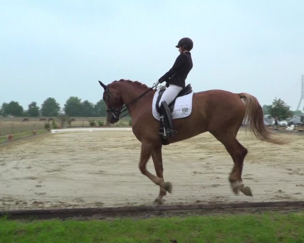 Reitturnier Neuss-Uedesheim 2019