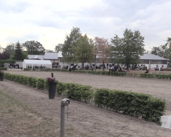 Reitturnier Olfen-Vinnum 2019