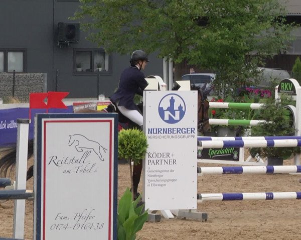 Reitturnier Jagstzell 2019
