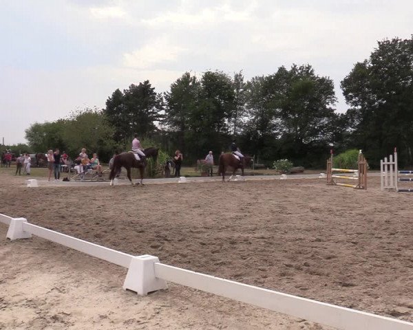 Reitturnier Olfen-Vinnum 2019