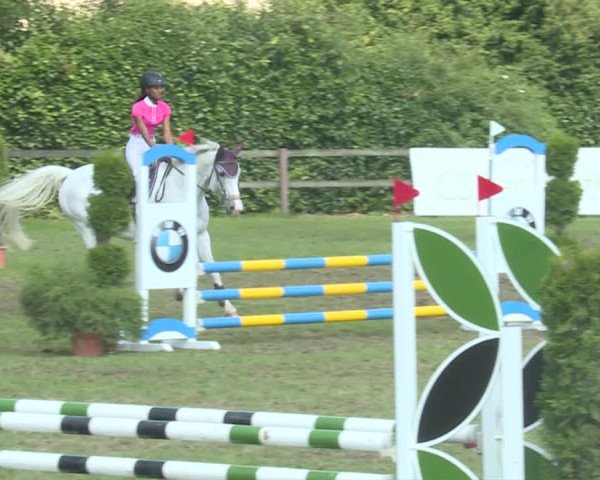 Reitturnier Langenthal 2019