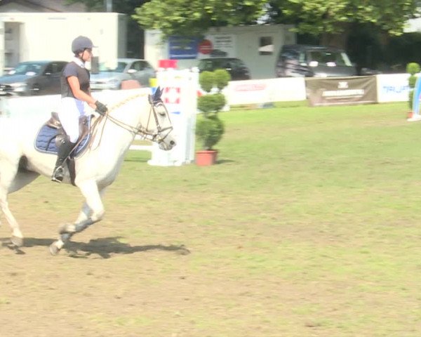 Reitturnier Langenthal 2019