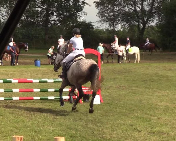 Reitturnier Sollerup 2019