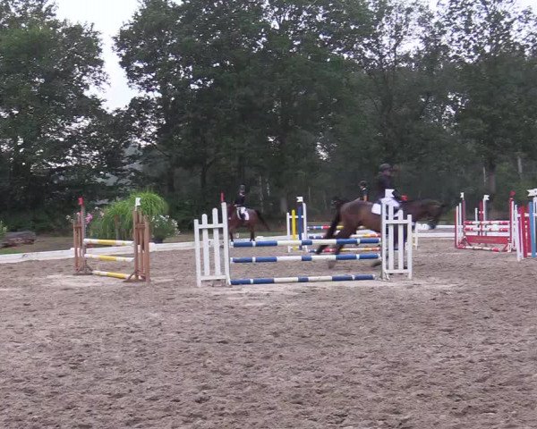 Reitturnier Olfen-Vinnum 2019