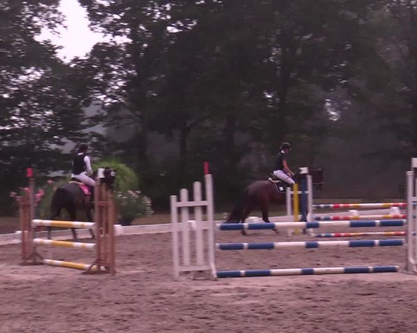 Reitturnier Olfen-Vinnum 2019