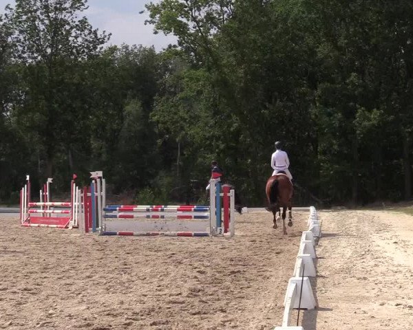 Reitturnier Olfen-Vinnum 2019