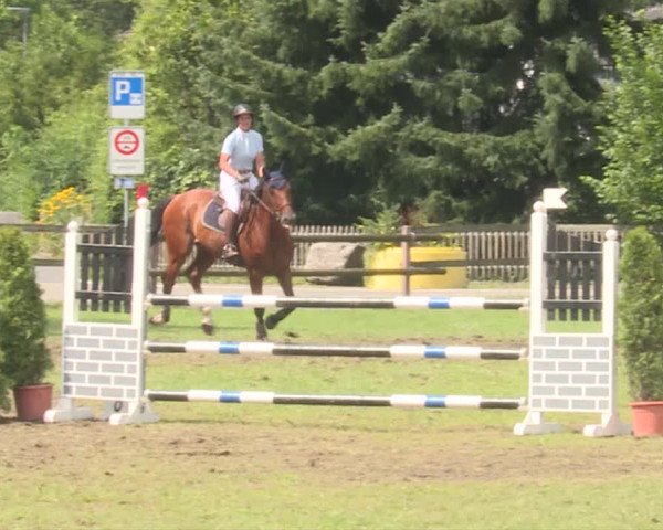Reitturnier Langenthal 2019