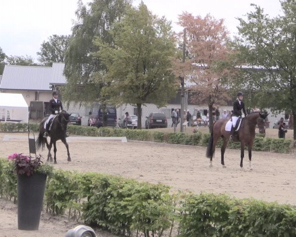 Reitturnier Olfen-Vinnum 2019