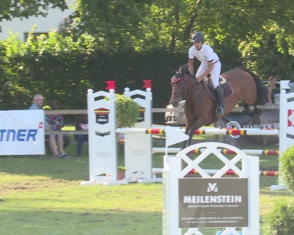 Reitturnier Langenthal 2019
