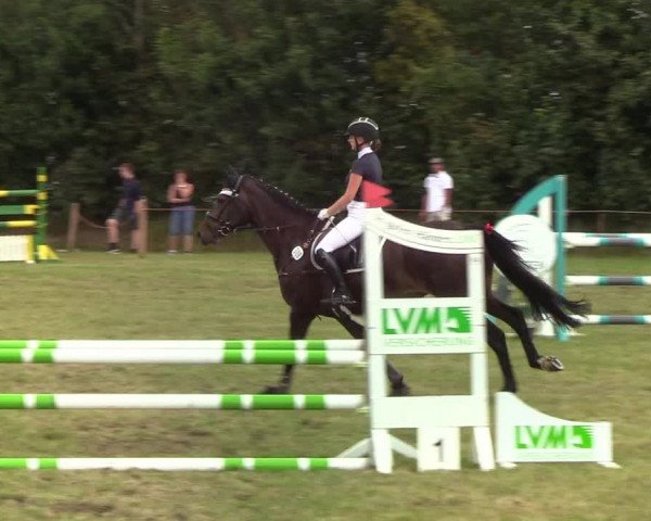 Reitturnier Sollerup 2019