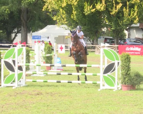 Reitturnier Langenthal 2019