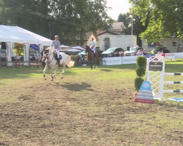 Reitturnier Langenthal 2019