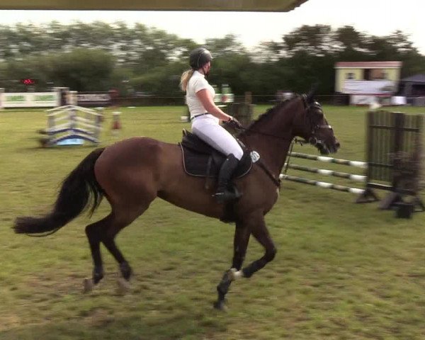 Reitturnier Sollerup 2019