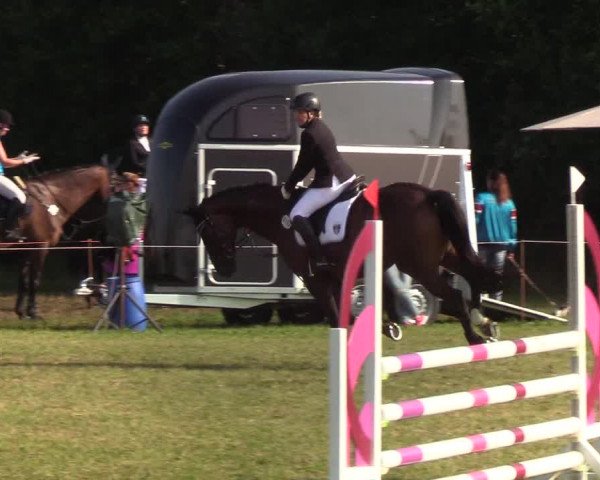 Reitturnier Sollerup 2019