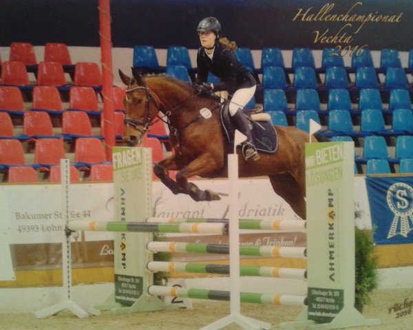 broodmare Queen 162 (Hanoverian, 2009, from Quidam de Revel)