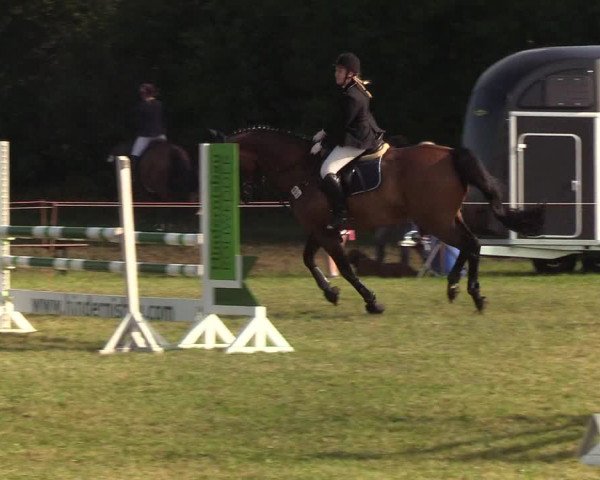 Reitturnier Sollerup 2019