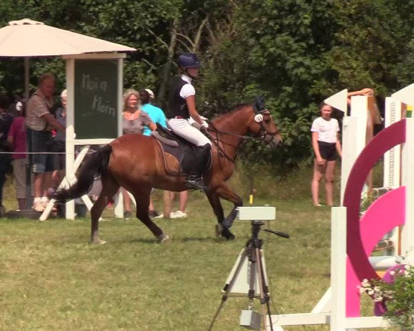 Reitturnier Sollerup 2019
