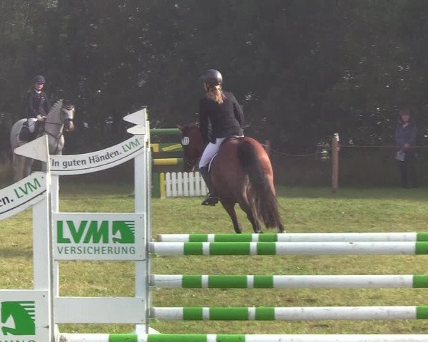 Reitturnier Sollerup 2019