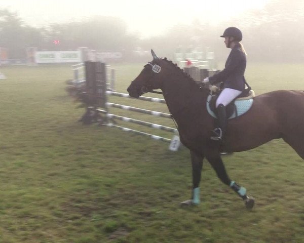 Reitturnier Sollerup 2019