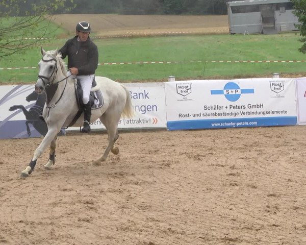 Reitturnier Jagstzell 2019