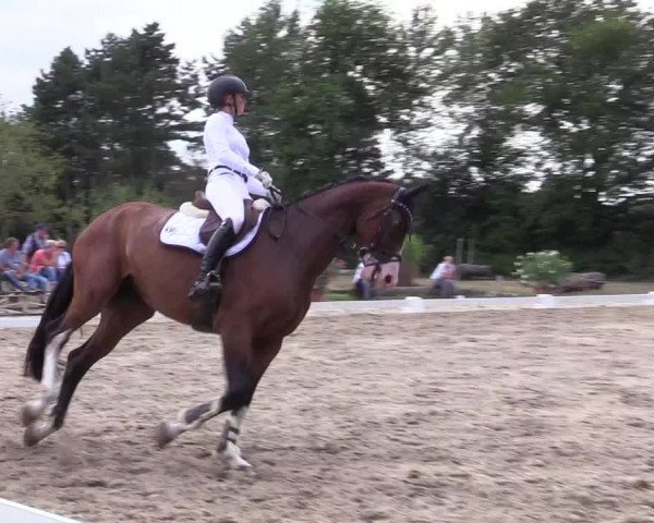 Reitturnier Olfen-Vinnum 2019