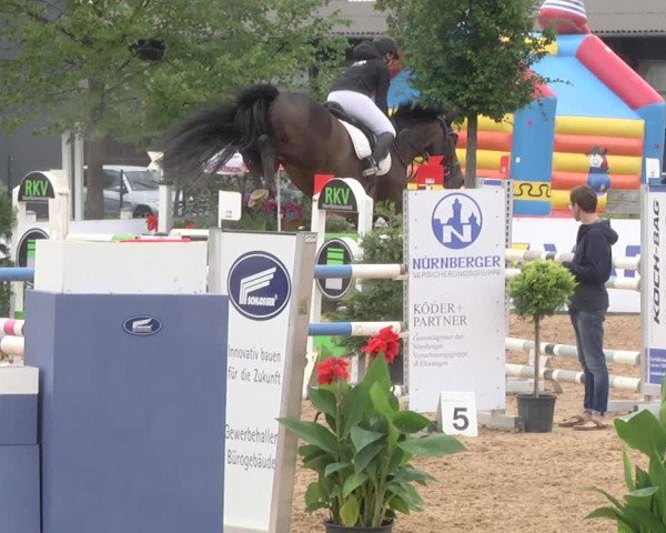 Reitturnier Jagstzell 2019