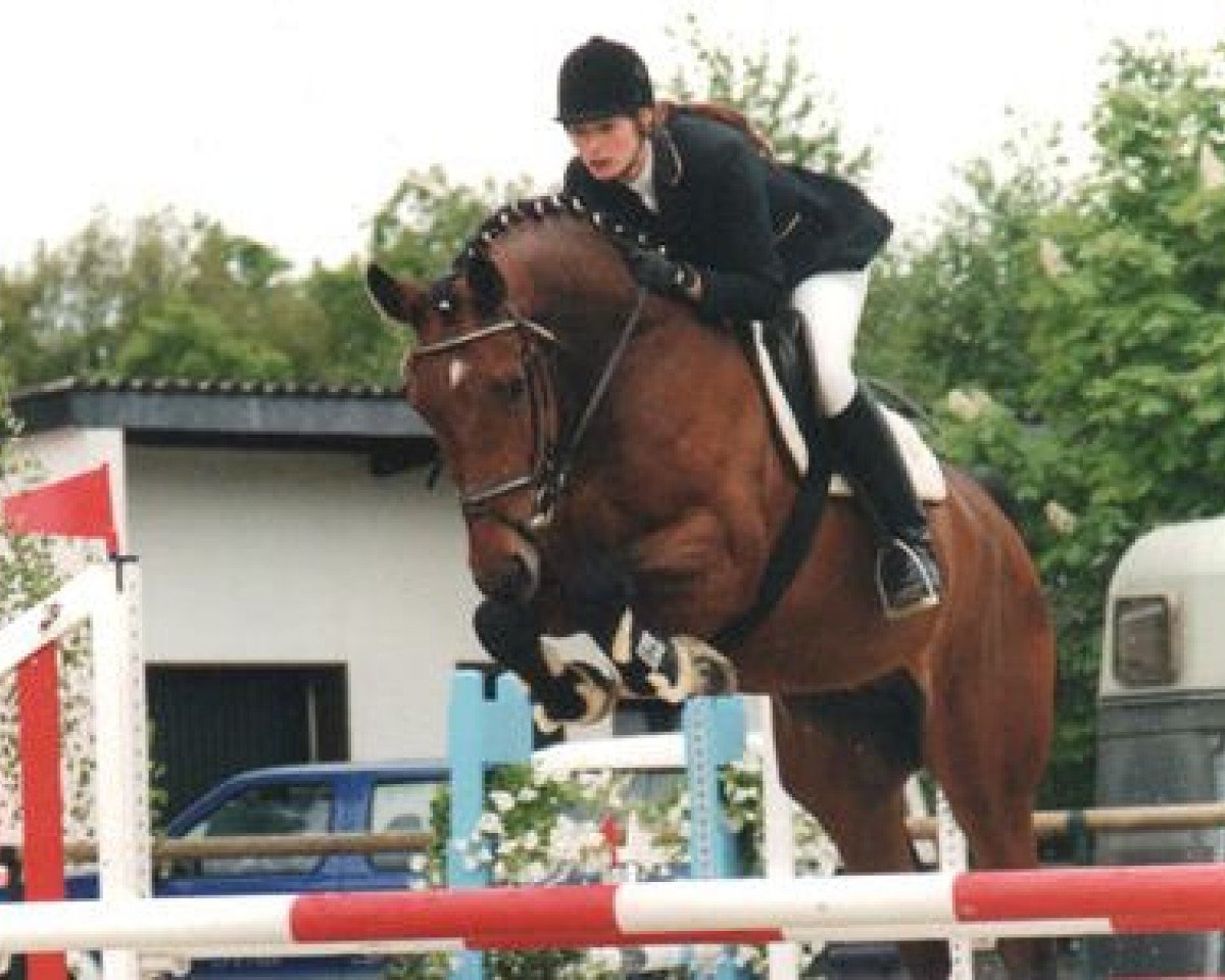 Cavallo Pirus Z (Zangersheide Reitpferd, 1996, di Pucci)