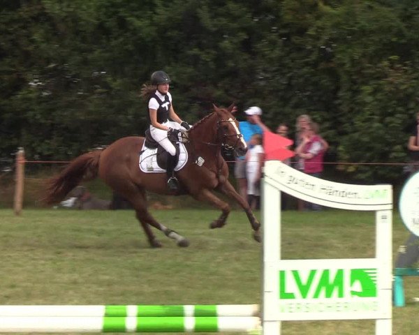 Reitturnier Sollerup 2019