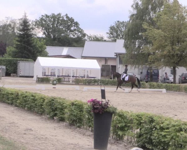 Reitturnier Olfen-Vinnum 2019